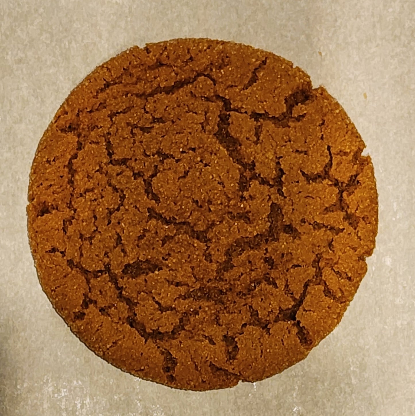 Molasses Cookie